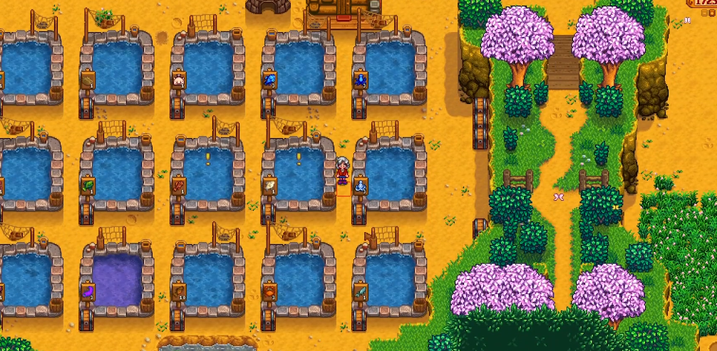 星露谷物语鱼塘推荐养什么鱼