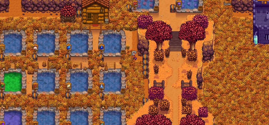 星露谷物语鱼塘推荐养什么鱼