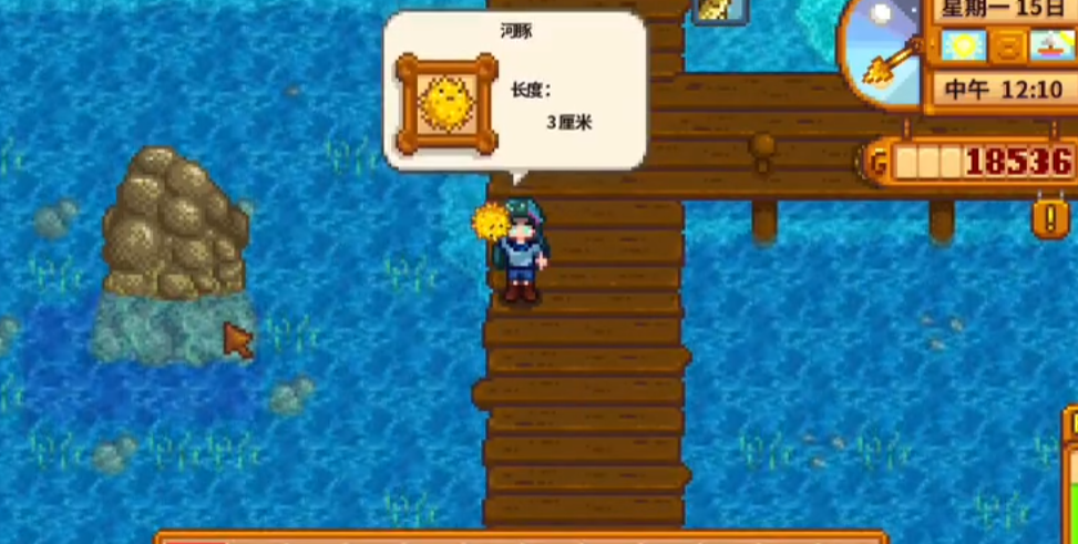 星露谷物语夏天雨天有什么鱼