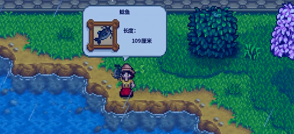 星露谷物语夏天雨天有什么鱼