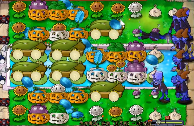 植物大战僵尸布局怎么布置