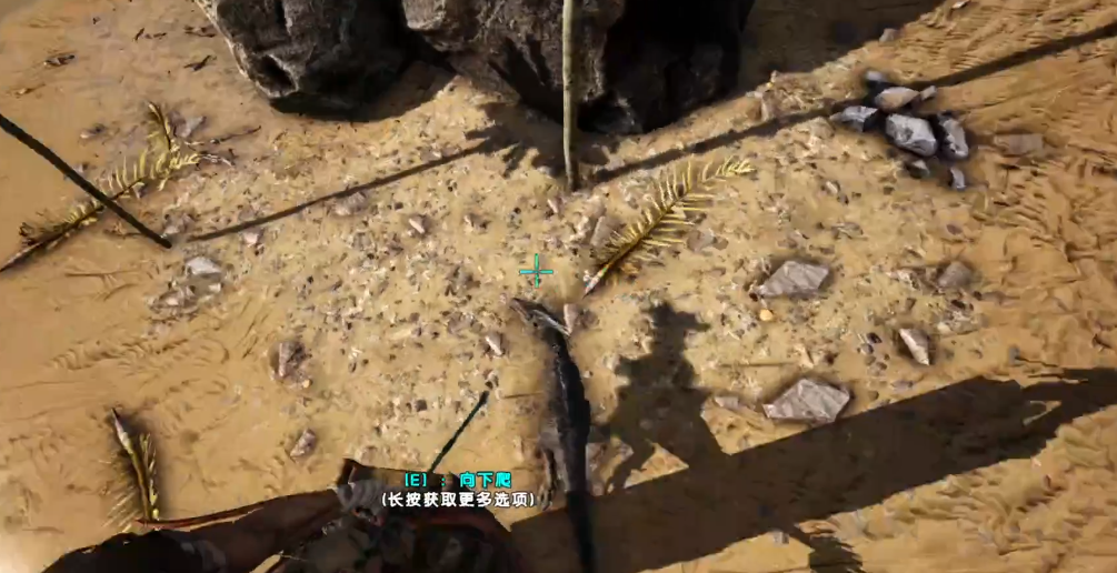 方舟生存进化前期驯服什么动物