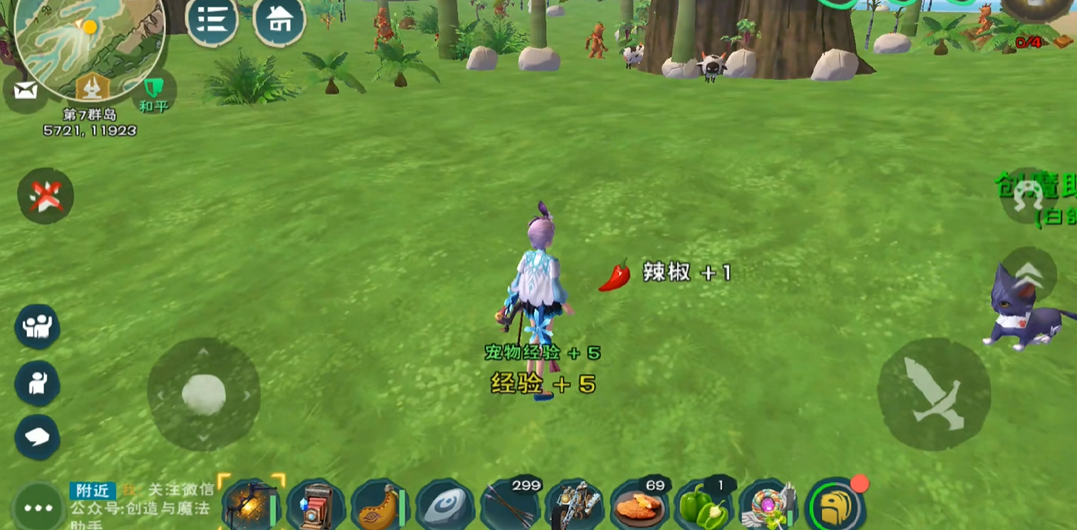 创造与魔法辣椒在哪里找