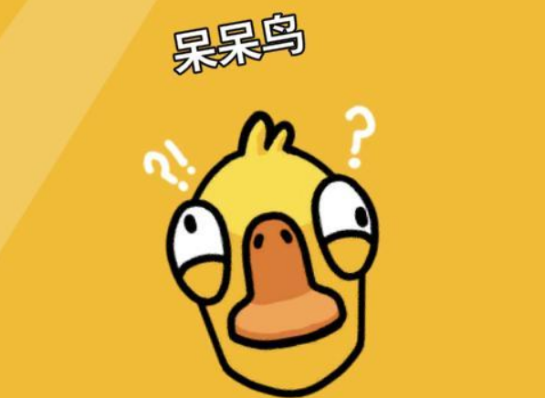 鹅鸭杀一般跳什么身份