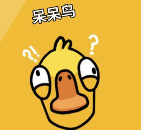 鹅鸭杀一般跳什么身份