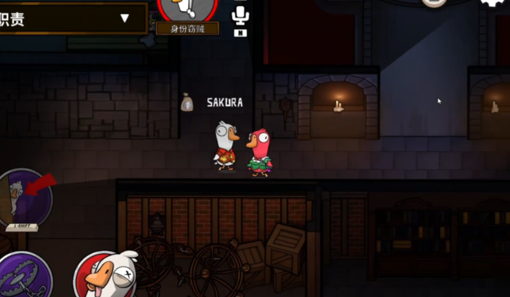 鹅鸭杀窃贼有什么用