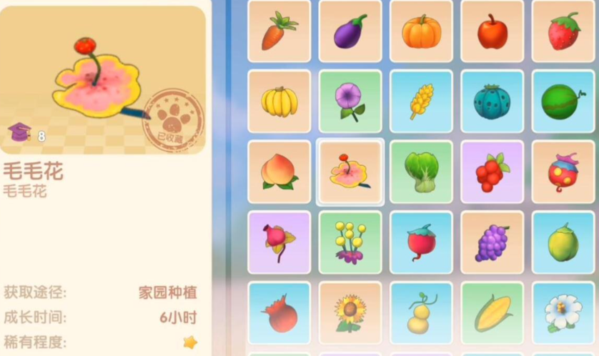 摩尔庄园毛毛花怎么交给尤尤