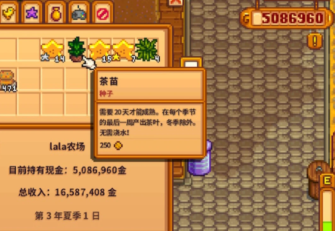 星露谷物语茶苗流怎么玩