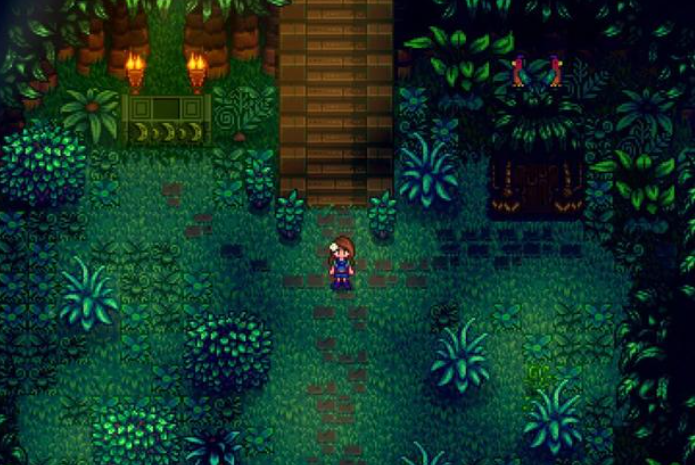 星露谷物语姜岛博物馆任务怎么过