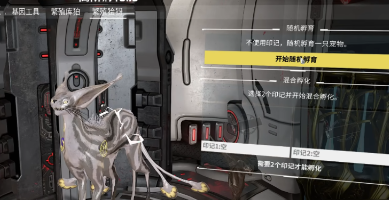 星际战甲好运猫怎么抓