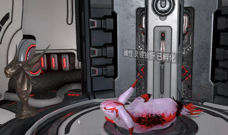 星际战甲好运猫怎么抓