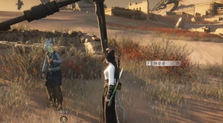 燕云十六声杨婆婆在哪