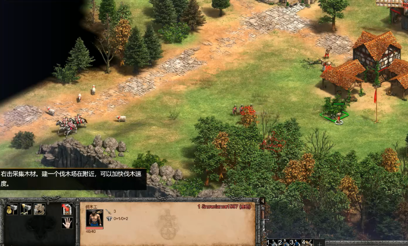 帝国时代2如何最快升城堡等级