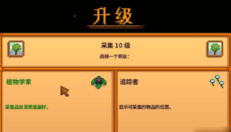 星露谷物语觅食10级选什么