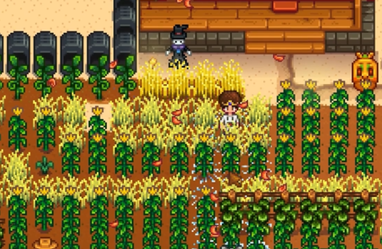 星露谷物语觅食10级选什么