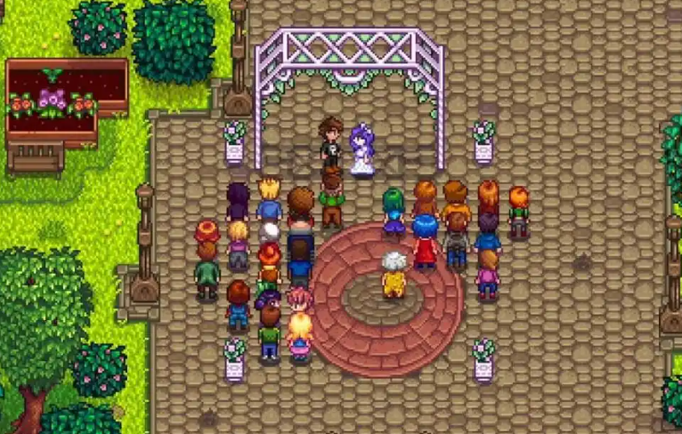 星露谷物语怎么娶老婆